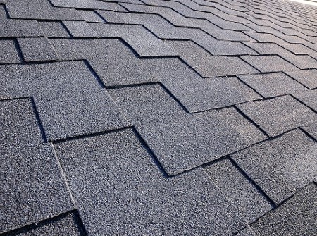 Shingle Roof